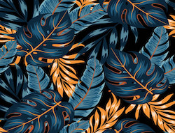 Monstera 03